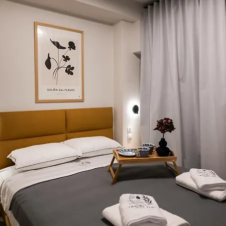 Apartment Kalma Lux Nikiana